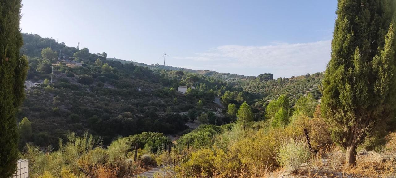 Casas Rurales Las Vinas Osuna Zewnętrze zdjęcie